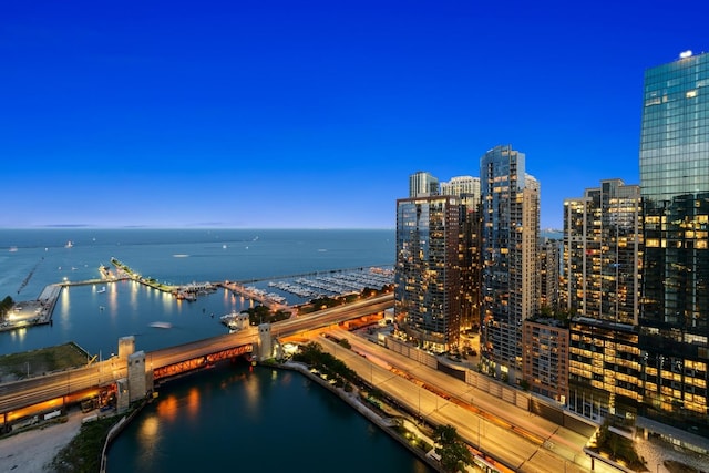 aerial view with a water view