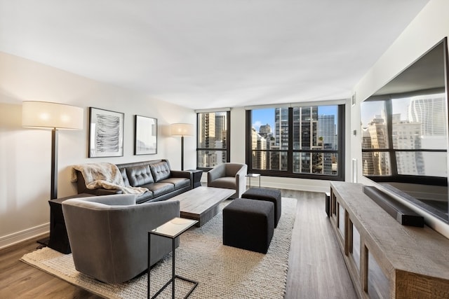 living room with hardwood / wood-style floors