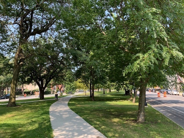 view of home's community with a yard