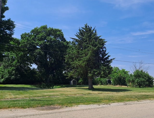 217 E Caroline St, Spring Valley IL, 61362 land for sale