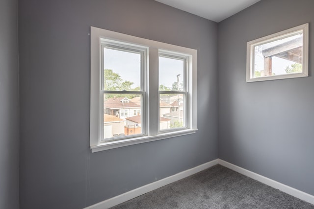 carpeted spare room with plenty of natural light