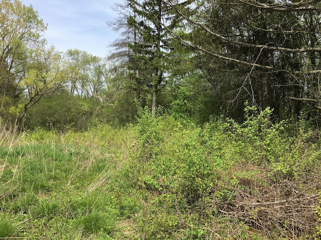 Listing photo 3 for LOT4 E Mundhank Rd, South Barrington IL 60010