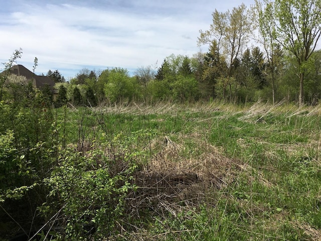 LOT4 E Mundhank Rd, South Barrington, IL 60010 - photo 3