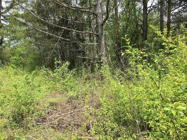 LOT4 E Mundhank Rd, South Barrington, IL 60010 - photo 5