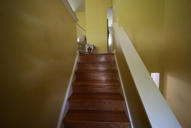 stairway with dark wood-type flooring and a high ceiling