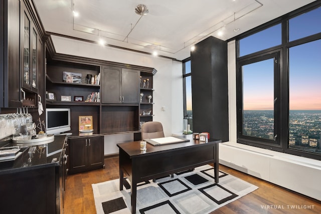 office space featuring dark wood-type flooring and rail lighting