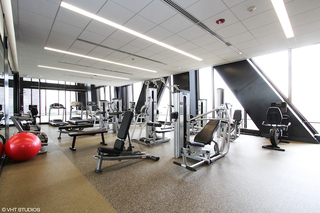 workout area with floor to ceiling windows and a drop ceiling