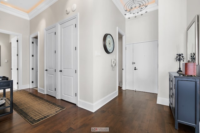 foyer entrance featuring dark wood-type flooring and ornamental molding