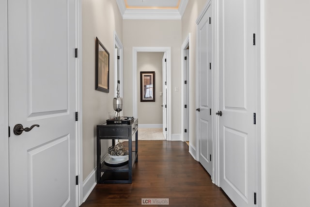 hallway featuring dark hardwood / wood-style flooring and ornamental molding