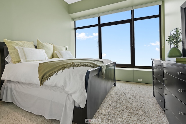 carpeted bedroom featuring multiple windows