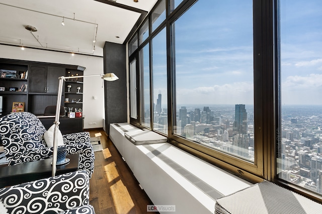 interior space with rail lighting, a healthy amount of sunlight, and dark hardwood / wood-style flooring