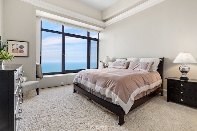 bedroom featuring a water view and light carpet