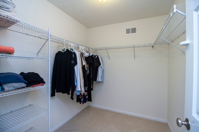 13 Anne Cir, Lemont, IL 60439 - photo 13