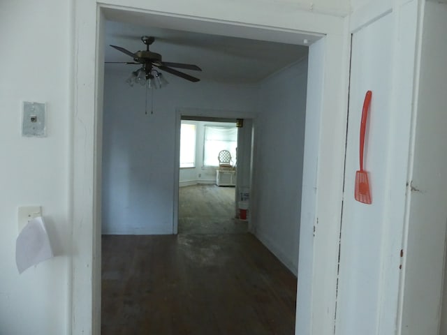 corridor with dark wood-type flooring