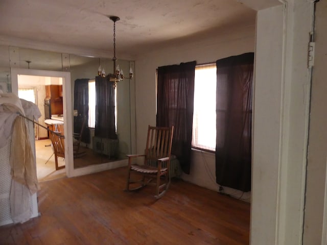 sitting room with hardwood / wood-style floors, a notable chandelier, and radiator heating unit