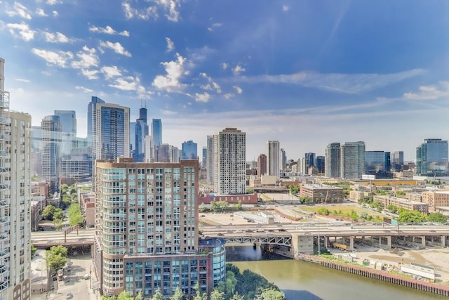 510 W Erie St Unit 1801, Chicago, IL 60654 - view of city skyline featuring a notable bridge and a nearby body of water