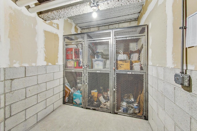 510 W Erie St Unit 1801, Chicago, IL 60654 - view of storage