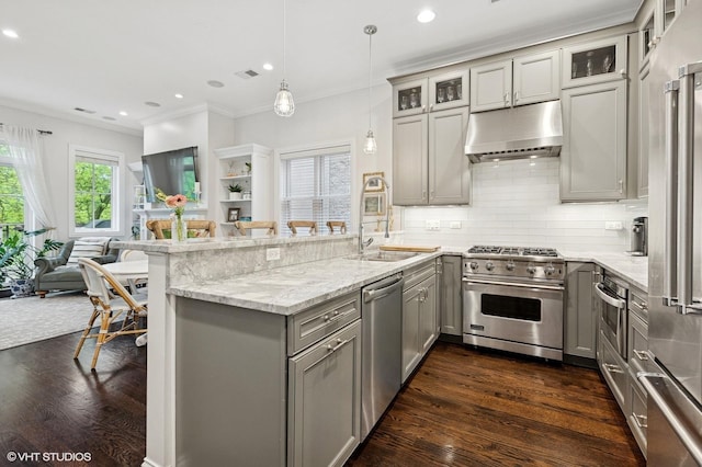 2732 N Seminary Ave Unit 3, Chicago, IL 60614 - kitchen featuring high quality appliances, gray cabinets, under cabinet range hood, a peninsula, and ornamental molding