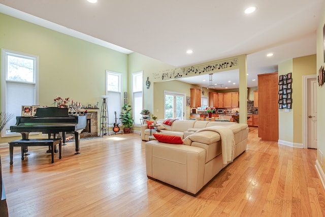 living room featuring light hardwood / wood-style floors