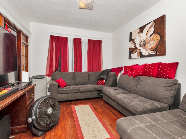 living room featuring dark wood-type flooring