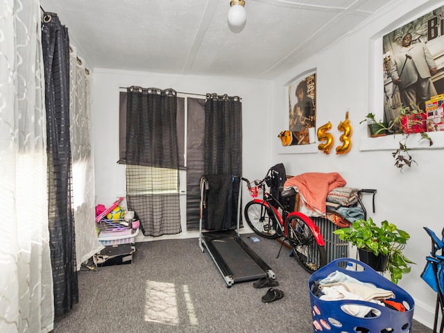 exercise area featuring a textured ceiling and carpet