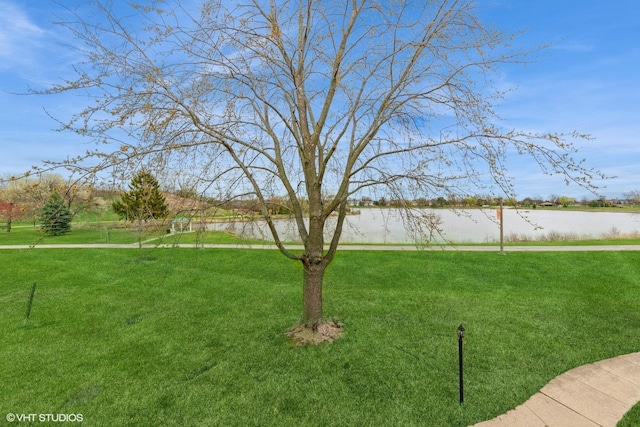 view of yard with a water view