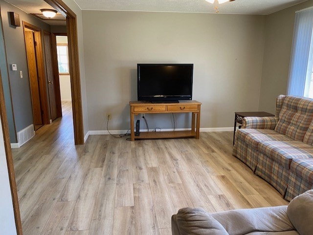 living room featuring light hardwood / wood-style floors