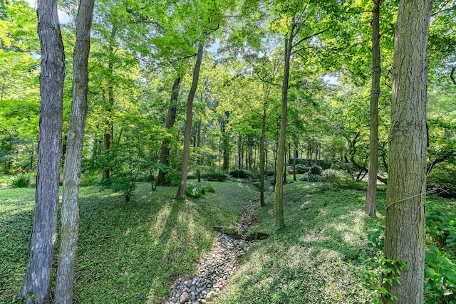 view of nature featuring a forest view