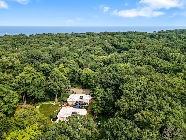 bird's eye view with a water view and a view of trees