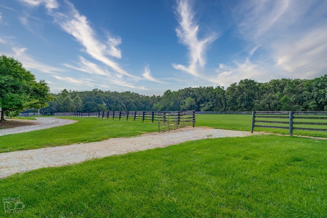 view of property's community featuring a rural view and a yard