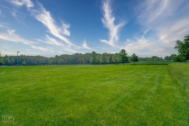 view of yard with a rural view