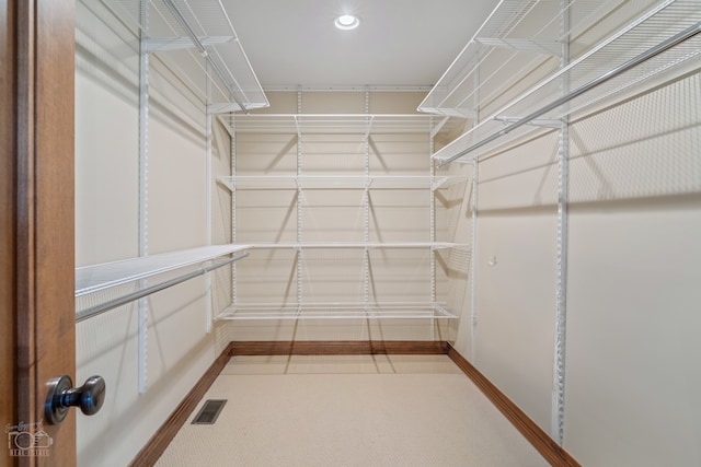 view of walk in closet