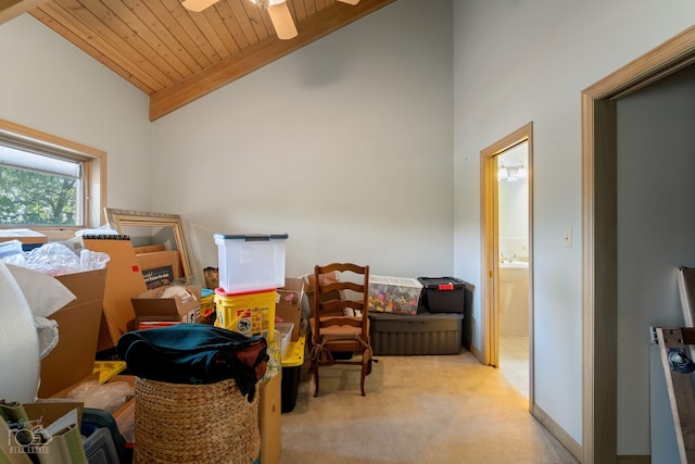 storage room with ceiling fan