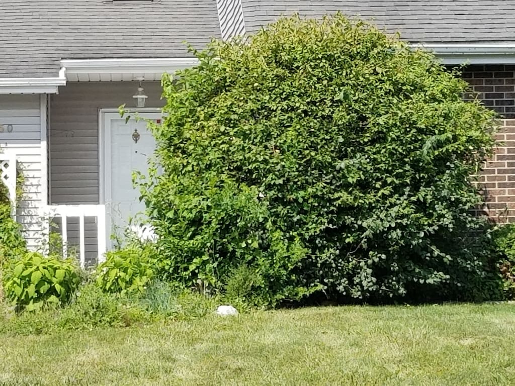 view of property exterior with a yard