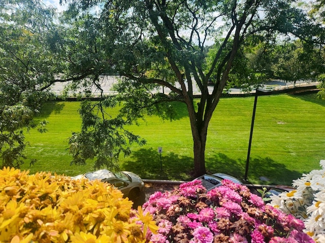 surrounding community with a yard