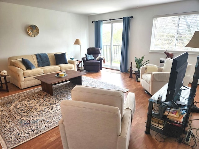 living room featuring wood finished floors