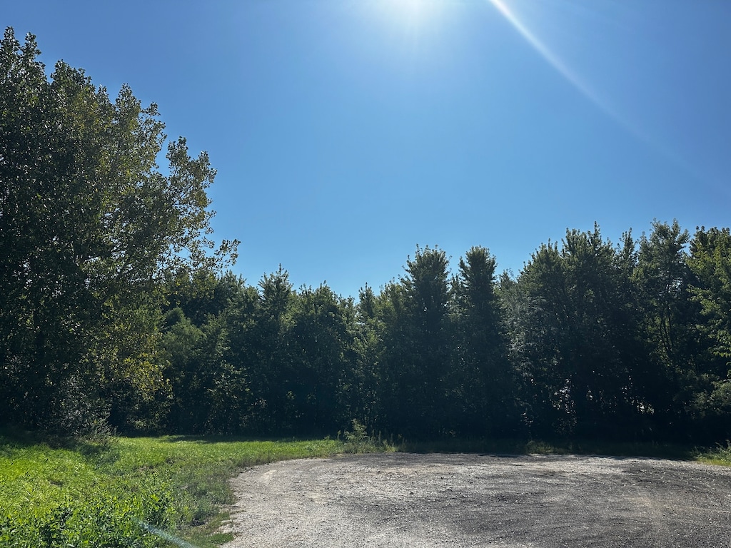 LOT15 Ogle Dr, Farmer City, IL 61842 - photo 1