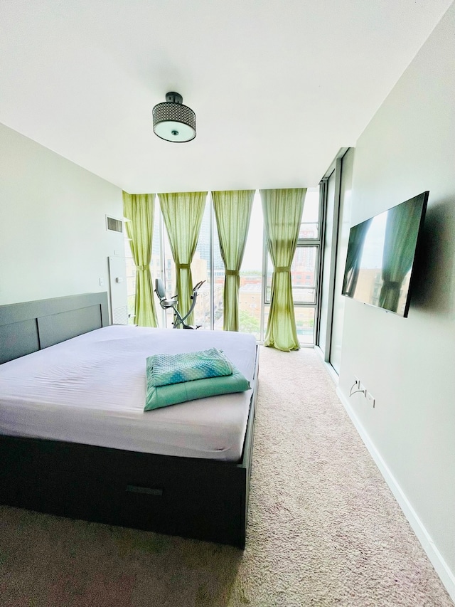 bedroom featuring carpet floors