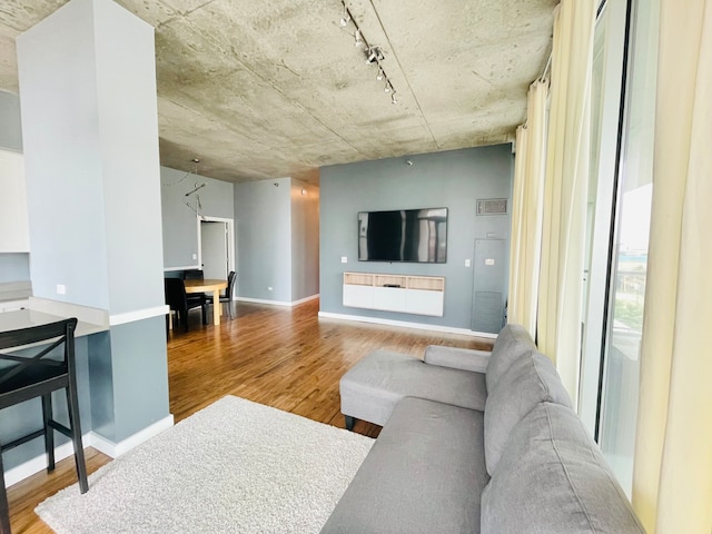 living room featuring light hardwood / wood-style floors