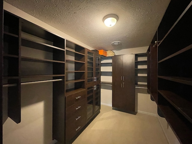 spacious closet with light colored carpet