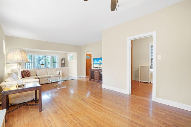 living room featuring ceiling fan and light hardwood / wood-style flooring