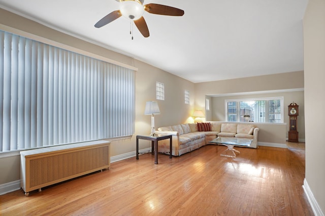 living room featuring light hardwood / wood-style floors, ceiling fan, and radiator