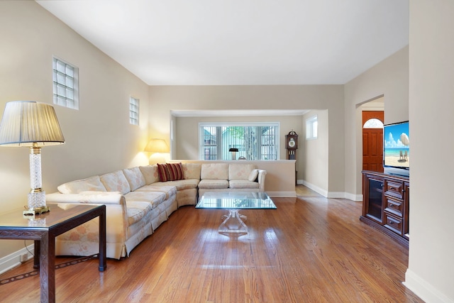 living room featuring hardwood / wood-style flooring