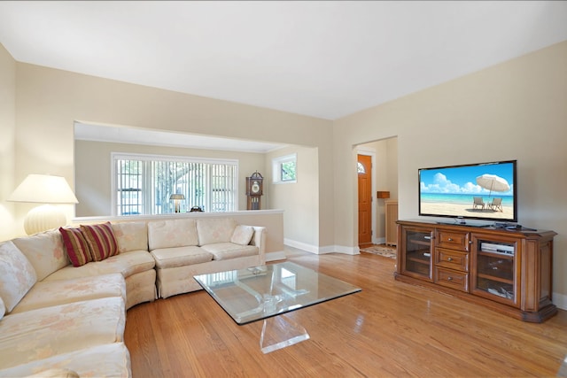 living room featuring light hardwood / wood-style floors