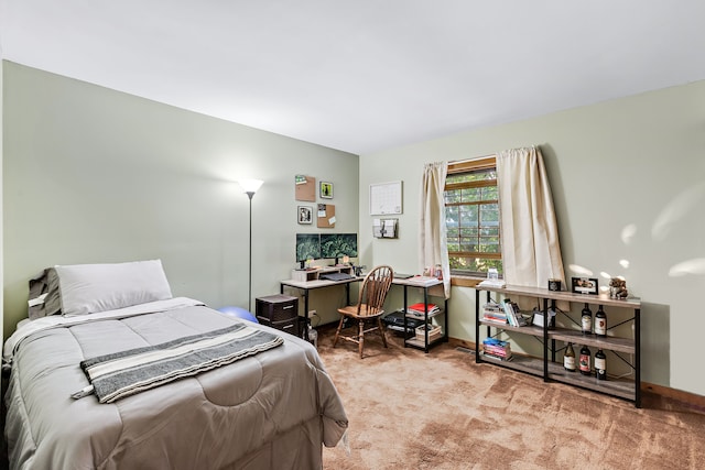 view of carpeted bedroom