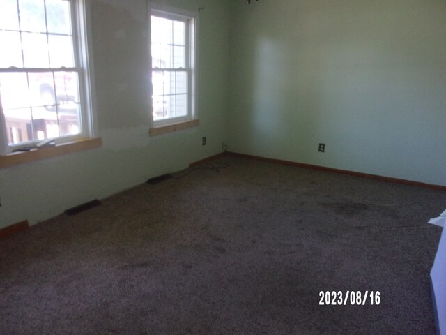 650 W Blue St, Sheldon, IL 60966 - carpeted empty room with a healthy amount of sunlight