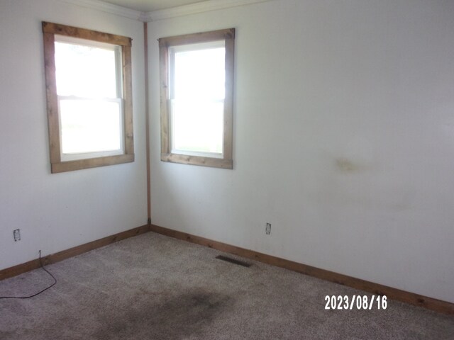 650 W Blue St, Sheldon, IL 60966 - spare room with ornamental molding and carpet