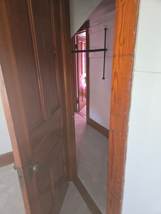 616 N Pleasant St, Princeton, IL 61356 - hallway with carpet floors