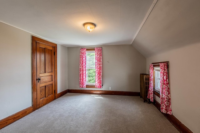 616 N Pleasant St, Princeton, IL 61356 - additional living space featuring carpet, baseboards, and vaulted ceiling