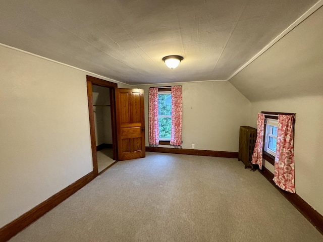 616 N Pleasant St, Princeton, IL 61356 - additional living space with baseboards, light colored carpet, and lofted ceiling